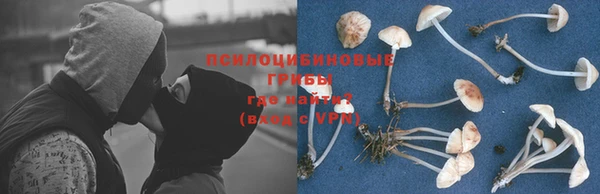эйфоретик Медногорск