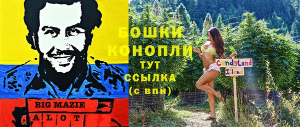 спайс Мегион