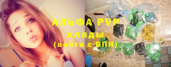 индика Магадан