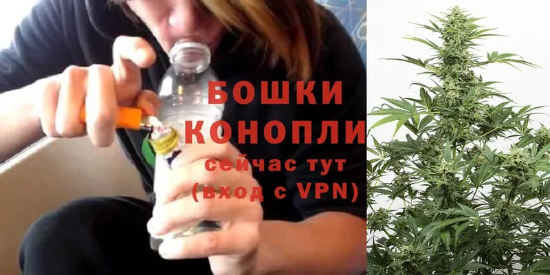 Бошки марихуана Ganja  Нижняя Салда 